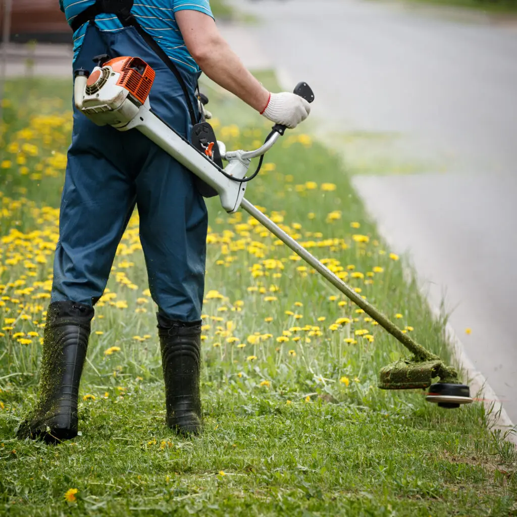 Man strimming grass on the verge