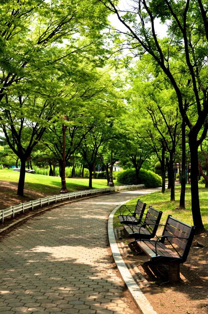 Park Maintenance