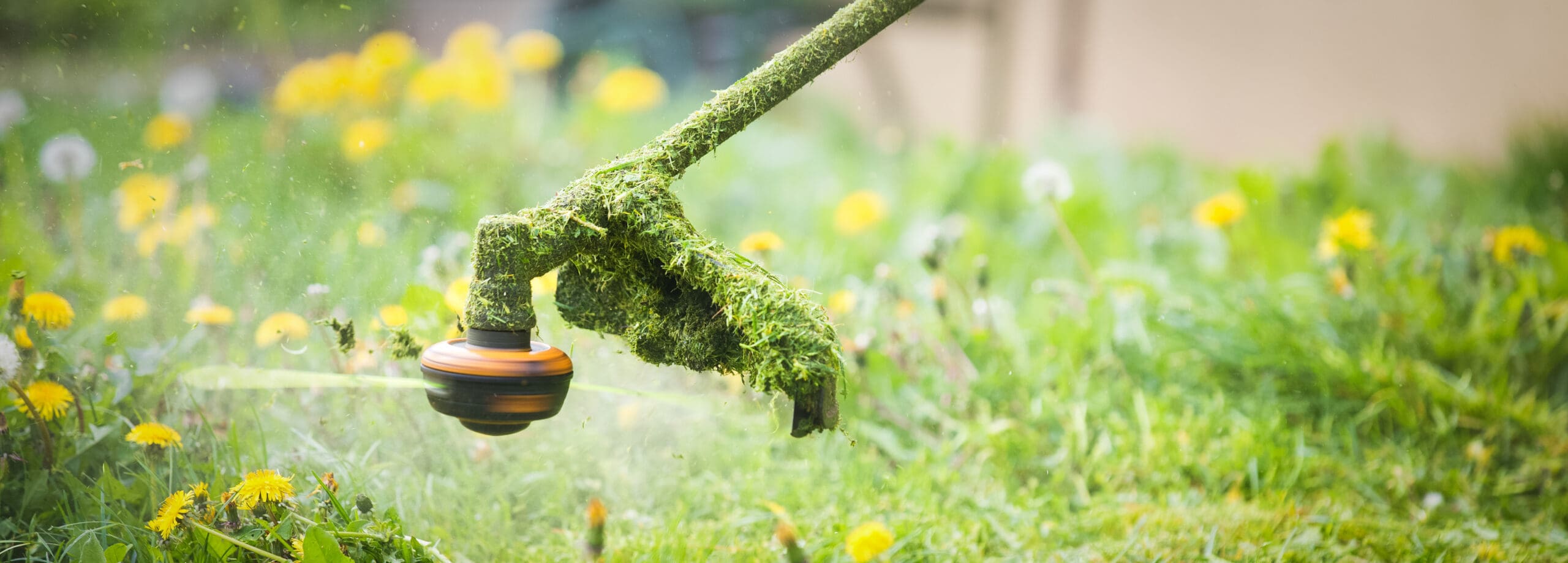 Grass Cutting Service
