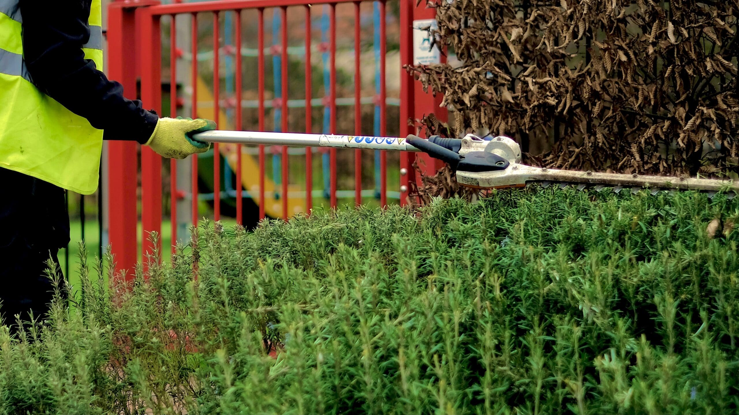 Commercial Landscaping